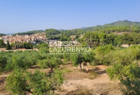 Riudecanyes 8791&nbsp;m²