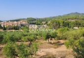 Rural estate for sale in Riudecanyes ref: TR407904 photo