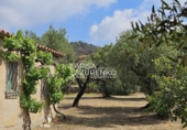 Rural estate for sale in Riudecanyes ref: TR407904 photo