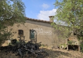 Rural estate for sale in Riudecanyes ref: TR407904 photo