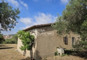 Rural estate for sale in Riudecanyes ref: TR407904 photo