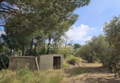 Rural estate for sale in Riudecanyes ref: TR407904 photo