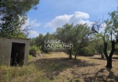 Rural estate for sale in Riudecanyes ref: TR407904 photo