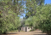 Rural estate for sale in Riudecanyes ref: TR407904 photo