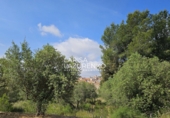 Rural estate for sale in Riudecanyes ref: TR407904 photo