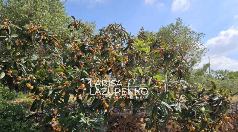 Tarragona - Riudecanyes - 9m2