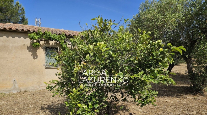 Tarragona - Riudecanyes - 9m2