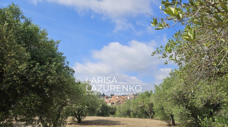 Tarragona - Riudecanyes - 9m2