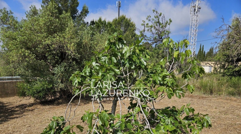 Tarragona - Riudecanyes - 9m2