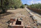 Rural estate for sale in Riudecanyes ref: TR407904 photo