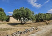 Rural estate for sale in Riudecanyes ref: TR407904 photo