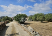 Rural estate for sale in Riudecanyes ref: TR407904 photo