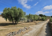 Rural estate for sale in Riudecanyes ref: TR407904 photo