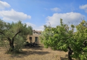 Rural estate for sale in Riudecanyes ref: TR407904 photo
