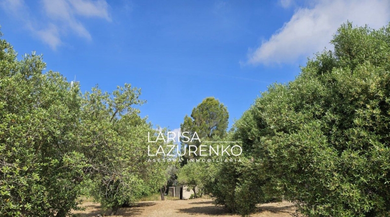 Tarragona - Riudecanyes - 9m2