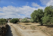 Rural estate for sale in Riudecanyes ref: TR407904 photo