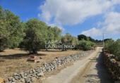 Rural estate for sale in Riudecanyes ref: TR407904 photo