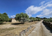 Rural estate for sale in Riudecanyes ref: TR407904 photo