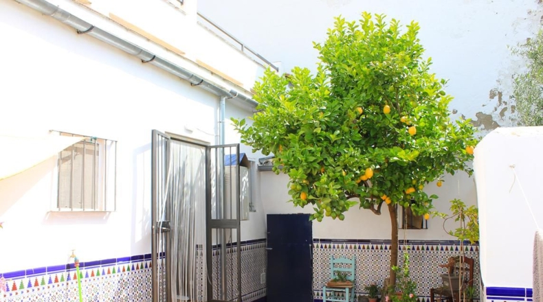 Cádiz - Algodonales - 129m2