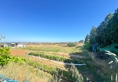 Urban land for sale in Villablanca ref: TR409405 photo