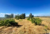 Urban land for sale in Villablanca ref: TR409405 photo