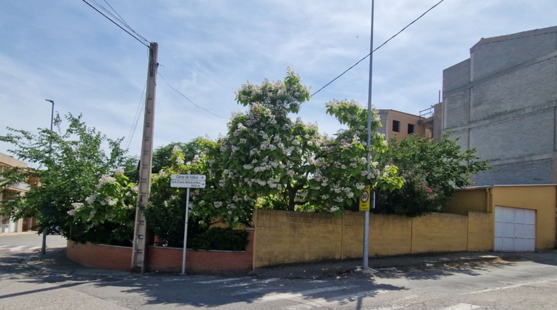 Lérida - Rosselló - 610m2