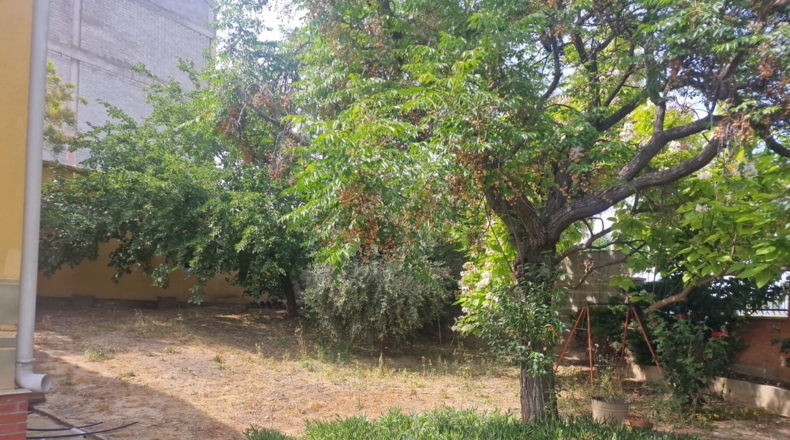 Lérida - Rosselló - 610m2