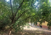 Detached villa with land for sale in Rosselló ref: TR409407 photo