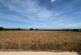 Navalvillar de Pela 12857&nbsp;m² 