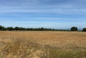 Navalvillar de Pela 12857&nbsp;m² 