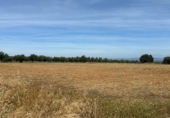 Non-developable land for sale in Navalvillar de Pela ref: TR409408 photo