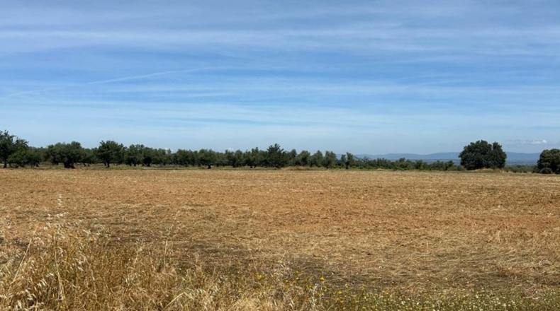 Badajoz - Navalvillar de Pela - 12857m2