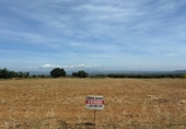 Non-developable land for sale in Navalvillar de Pela ref: TR409408 photo