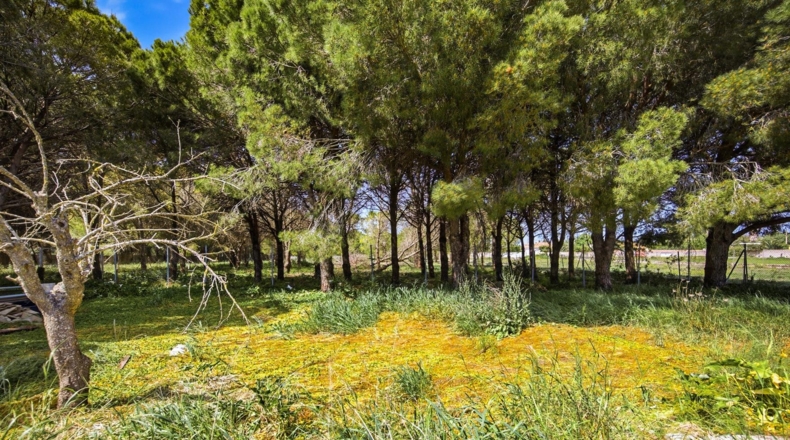 Cádiz - Chiclana de la Frontera - 6483m2