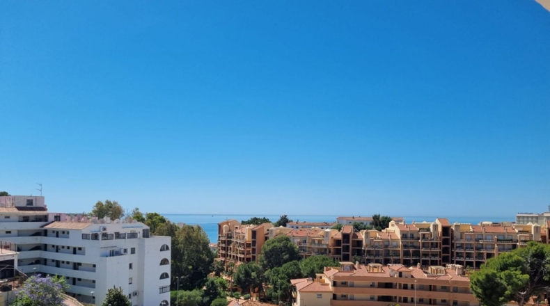 Málaga - Fuengirola - 529m2