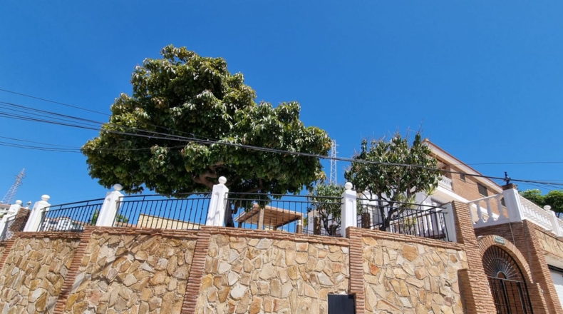 Málaga - Fuengirola - 529m2