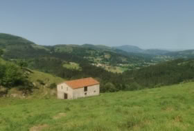 Solórzano 17500&nbsp;m²