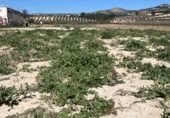 Non-developable land for sale on Carretera Estación de Íllora a Pinos Puente, Pinos Puente, ref: TR409232 photo