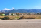 Parcela urbanizable en venta en la España, Alcalà de Xivert, ref: TR409419 foto