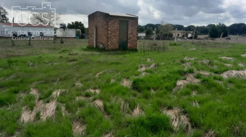 Huelva - Almonte - 5000m2