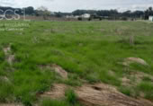 Terreno no urbanizable en venta en la España, Almonte, ref: TR409420 foto