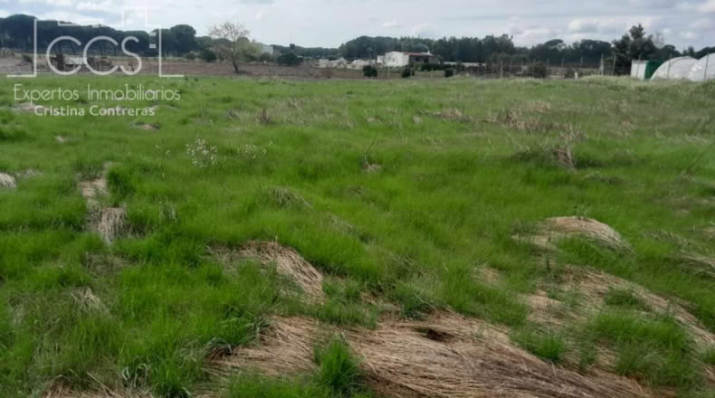 Huelva - Almonte - 5000m2