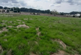 Almonte 5000&nbsp;m²