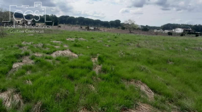 Huelva - Almonte - 5000m2