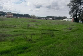 Almonte 5000&nbsp;m²
