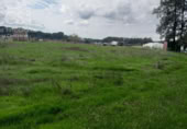 Terreno no urbanizable en venta en la España, Almonte, ref: TR409420 foto