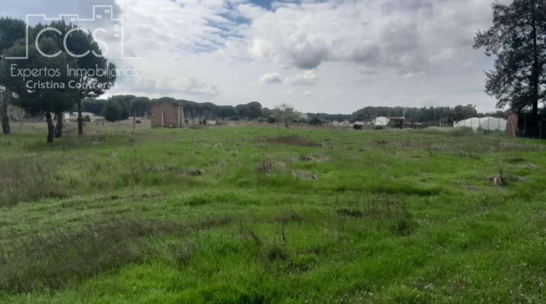 Huelva - Almonte - 5000m2