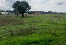 Almonte 5000&nbsp;m²