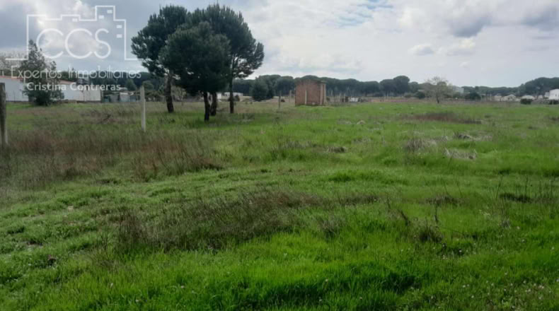 Huelva - Almonte - 5000m2