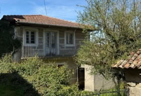 Foto 15